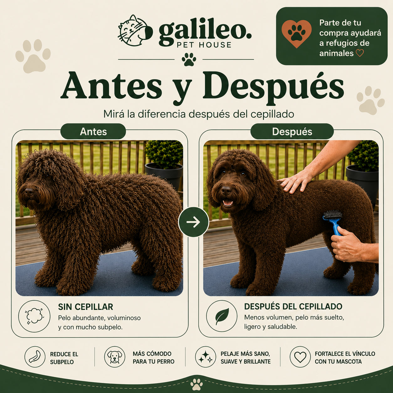 Elimina el subpelo y desenreda los nudos