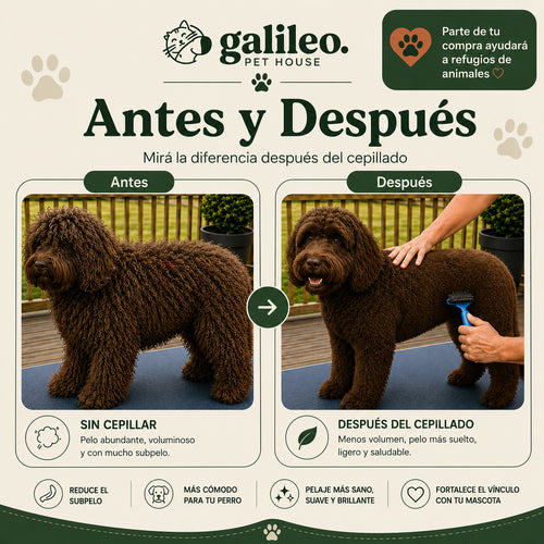 Elimina el subpelo y desenreda los nudos