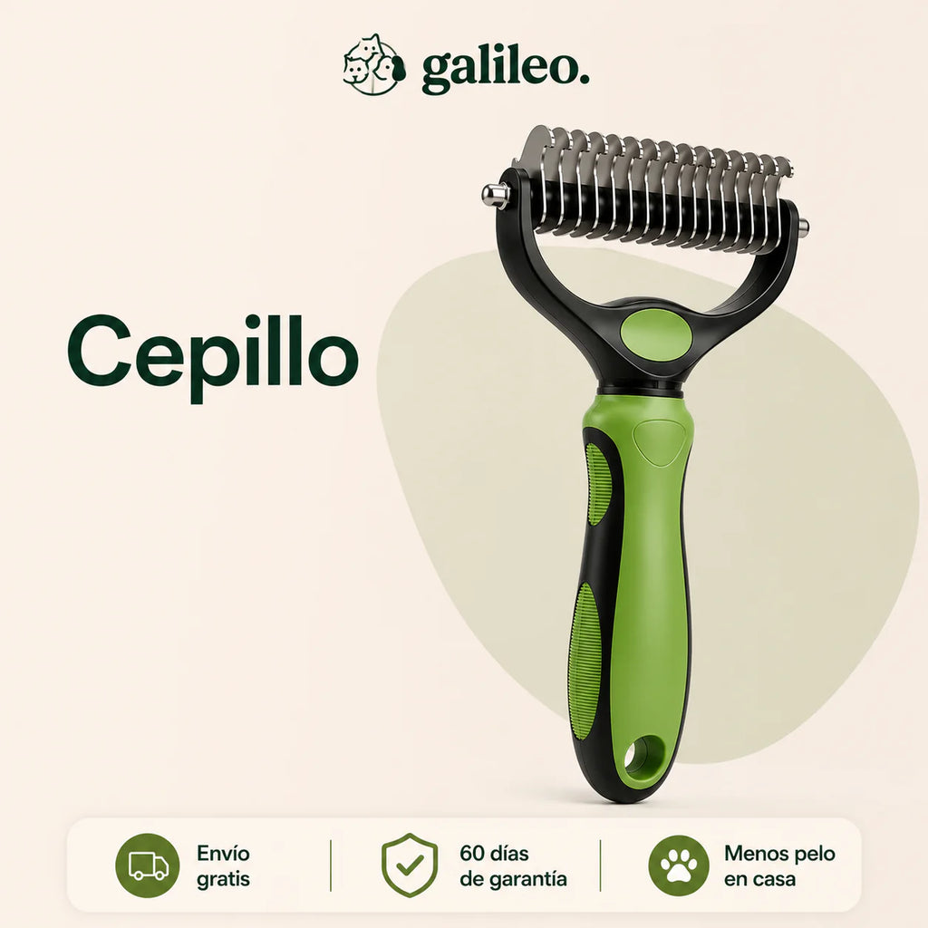 Solo Cepillo - Cepillo Deslanador Galileo