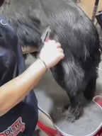 Elimina el subpelo y desenreda los nudos