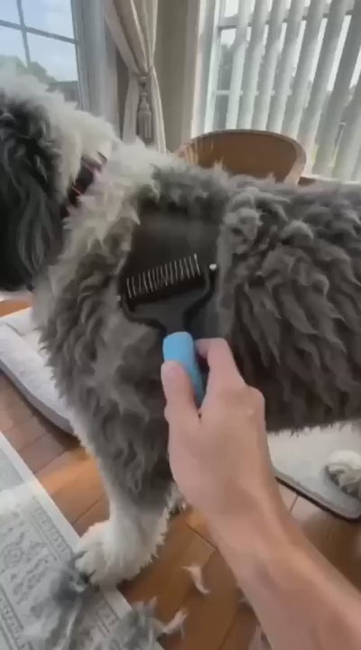 Elimina el subpelo y desenreda los nudos